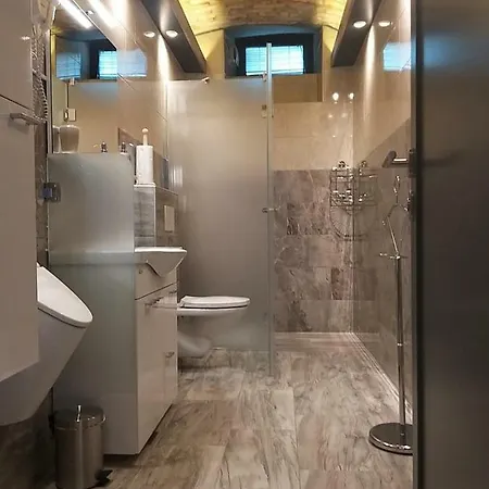 招待所 Centralcityrooms 卢布尔雅那